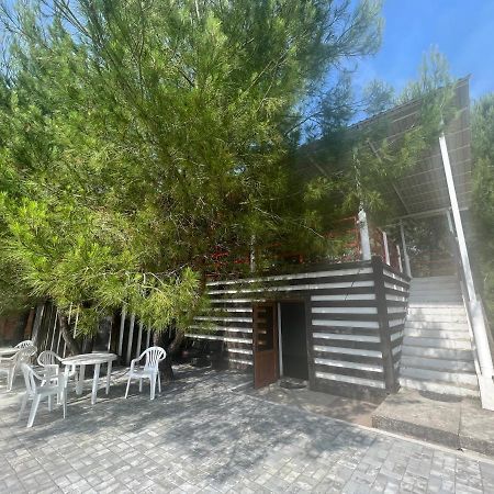 Mini-Hotel Forest Club ปิซุนดา ภายนอก รูปภาพ