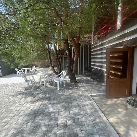 Mini-Hotel Forest Club ปิซุนดา ภายนอก รูปภาพ