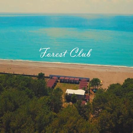 Mini-Hotel Forest Club ปิซุนดา ภายนอก รูปภาพ