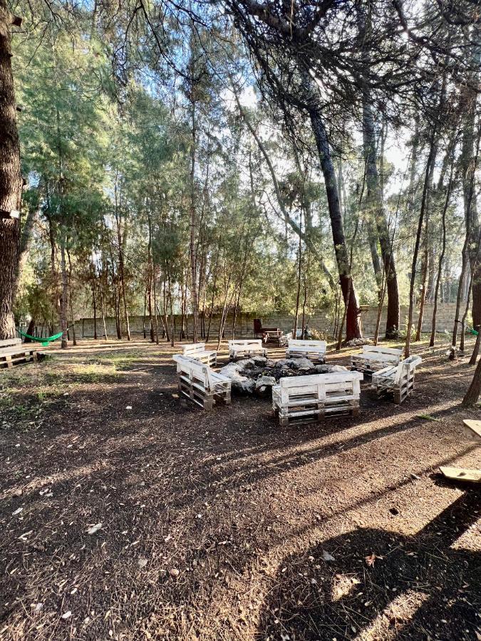 Mini-Hotel Forest Club ปิซุนดา ภายนอก รูปภาพ