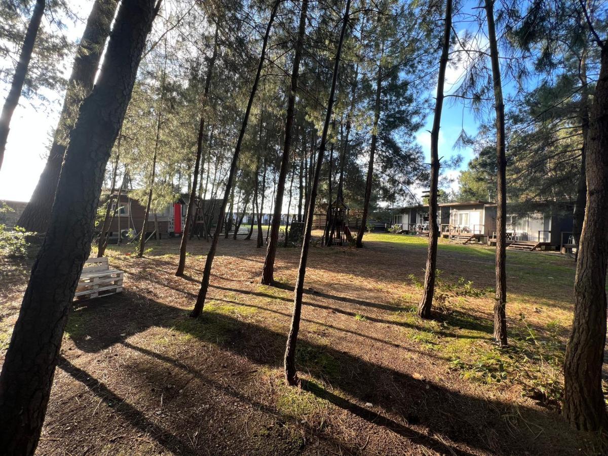 Mini-Hotel Forest Club ปิซุนดา ภายนอก รูปภาพ