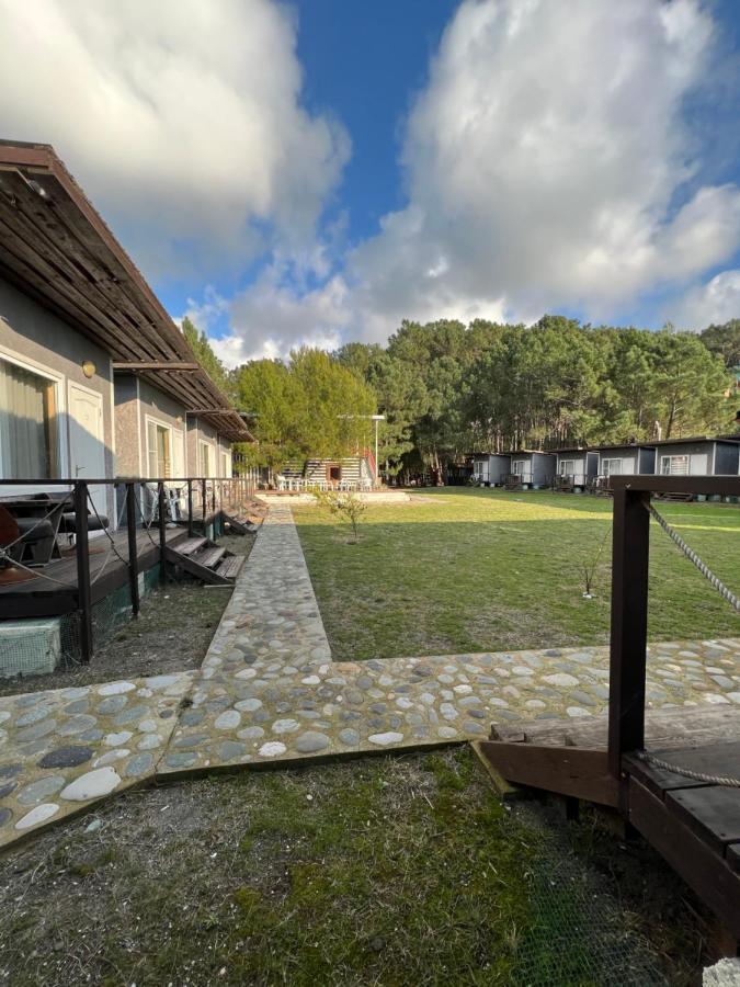 Mini-Hotel Forest Club ปิซุนดา ภายนอก รูปภาพ