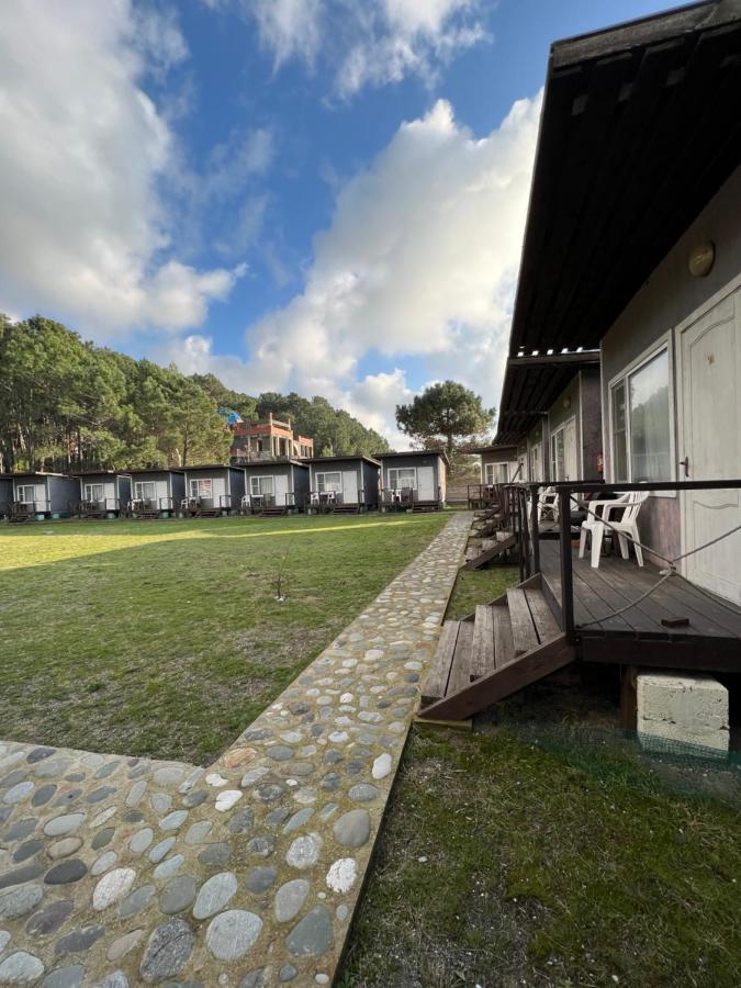 Mini-Hotel Forest Club ปิซุนดา ภายนอก รูปภาพ