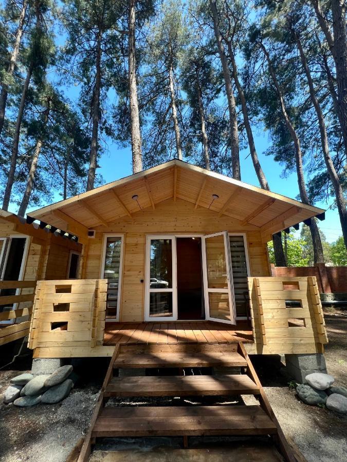 Mini-Hotel Forest Club ปิซุนดา ภายนอก รูปภาพ