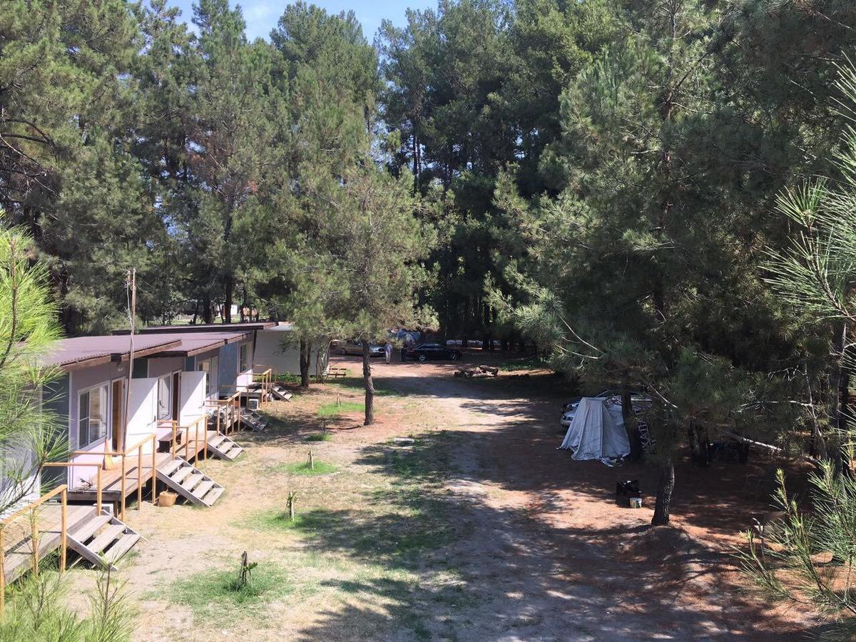 Mini-Hotel Forest Club ปิซุนดา ภายนอก รูปภาพ