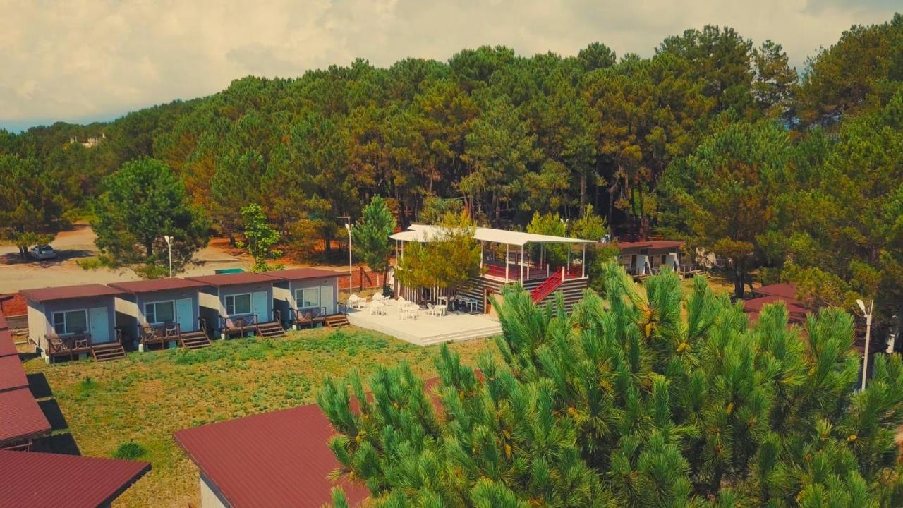 Mini-Hotel Forest Club ปิซุนดา ภายนอก รูปภาพ