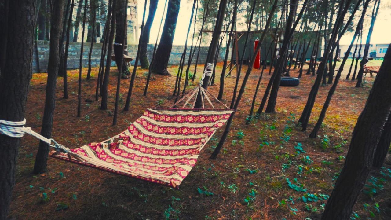 Mini-Hotel Forest Club ปิซุนดา ภายนอก รูปภาพ
