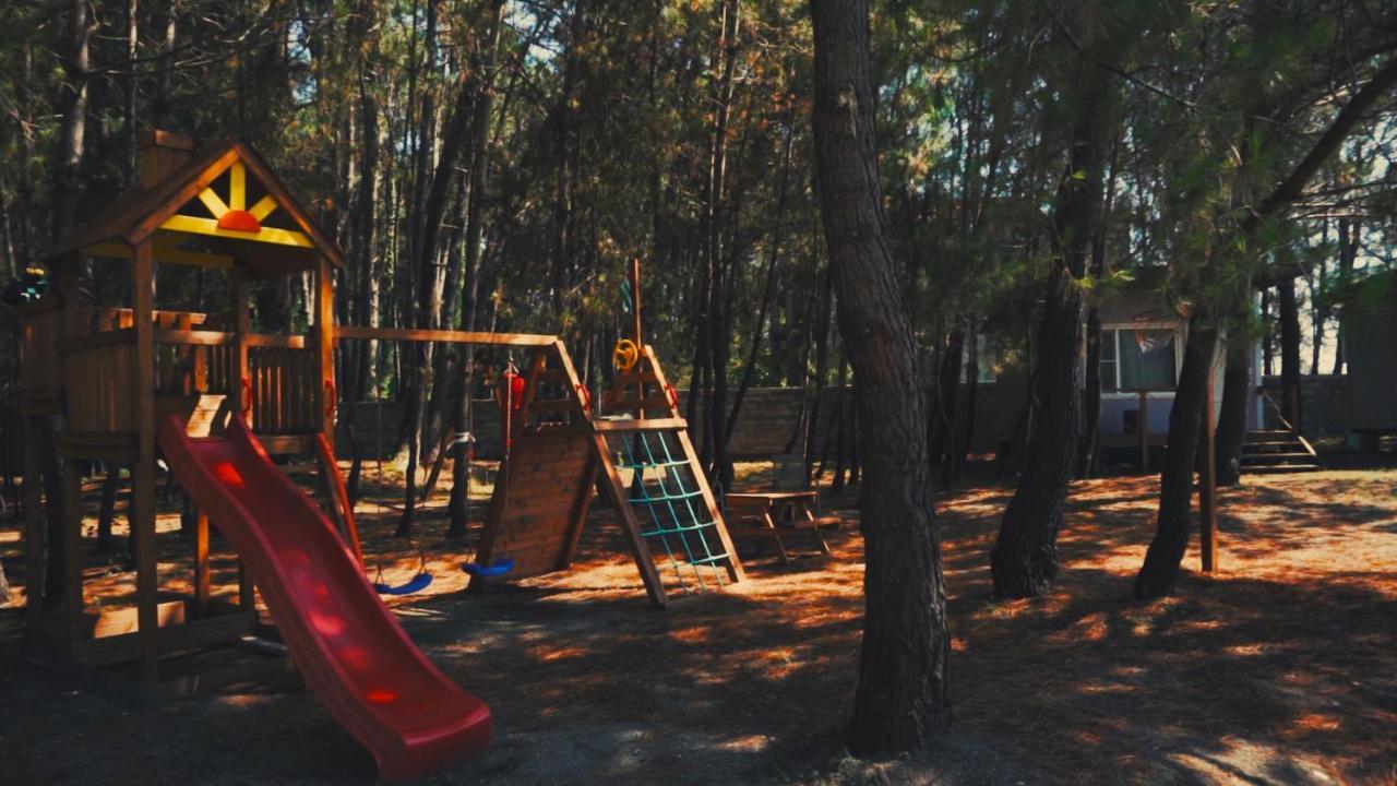 Mini-Hotel Forest Club ปิซุนดา ภายนอก รูปภาพ